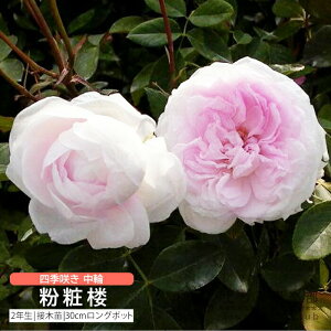 I[h[Y lG炫  w ϘO x 2N ڂؕc o oc KN c yqy