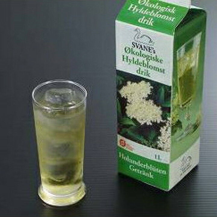 楽天市場 エルダーフラワー 西洋ニワトコ 細葉 9cmポット苗 花と緑の専門店 土っ子倶楽部