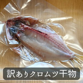【訳あり小】黒むつ干物（クロムツ塩干し開き）沼津無添加地魚産地直送