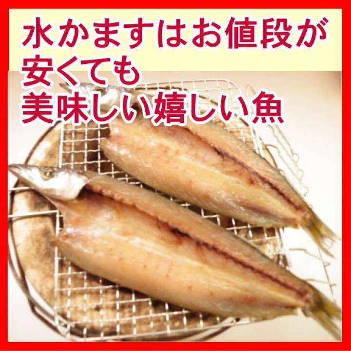 楽天市場 水かます ヤマトかます ２枚 沼津無添加カマスひもの産地直送 駿河湾特急