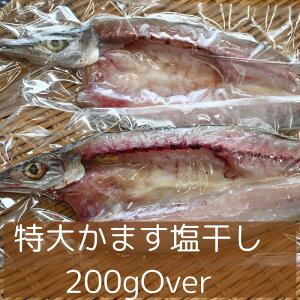 特大本かます干物(200g超え)、沼津無添加カマスひもの産地直送