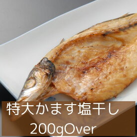 特大本かます干物（200g超え）、沼津無添加カマスひもの産地直送