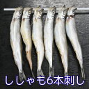 ししゃも1串6本刺（北欧産メスからふとシシャモ丸干し）