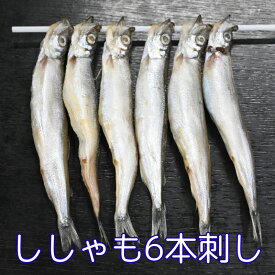 ししゃも1串6本刺（北欧産メスからふとシシャモ丸干し）