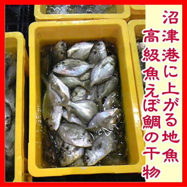 楽天市場 駿河湾産えぼ鯛干物 中 沼津無添加エボたいひもの産地直送 駿河湾特急