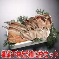 干物セット（ひもの詰め合わせ）令和特撰セット[金目鯛、あじ、かます、えぼ鯛、さば送料無料 無添加 静…