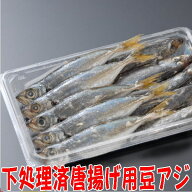から揚げ用 丸豆あじ（10本入り）下処理済 静岡 沼津港産地直送