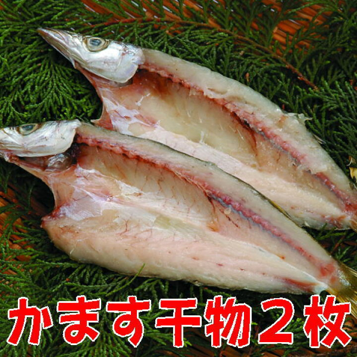 楽天市場 水かます ヤマトかます ２枚 沼津無添加カマスひもの産地直送 駿河湾特急