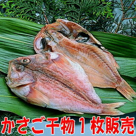 楽天市場 カサゴ その他水産物 魚介類 水産加工品 食品の通販