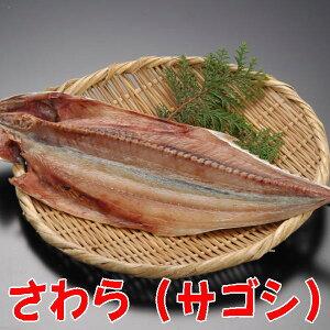 y󒍐YziTSVjAĂɍœKȓ