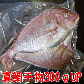【受注生産】真鯛干物300g台（大きすぎて真空パックではございません）