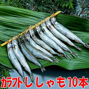 110{hikYXӂƃVVۊj