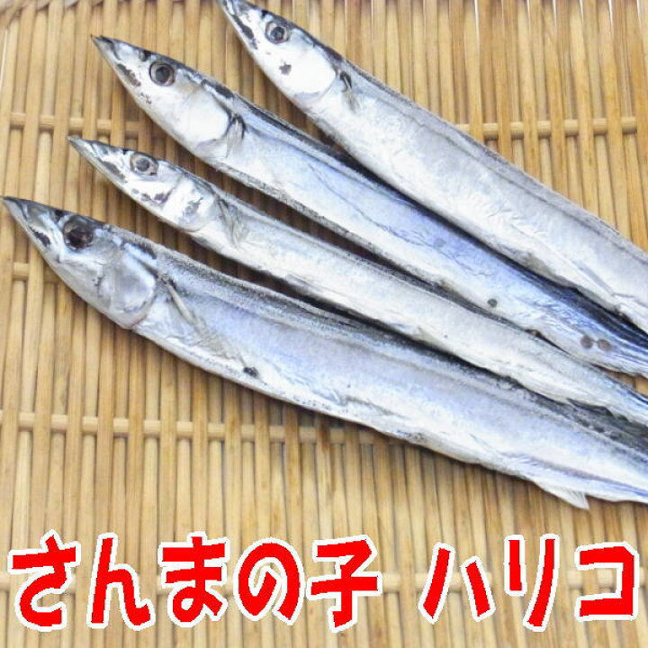 楽天市場 さんま丸干し 小 0ｇに増量中 無添加さんまの子供の干物 ハリコ 針子 丸干しひものの大サイズ 駿河湾特急