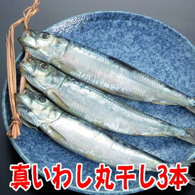 楽天市場 大羽鰯の通販