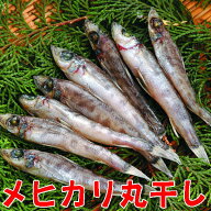 メヒカリ丸干し150g（沼津産深海魚）静岡 沼津 無添加 めひかり干物産地直送