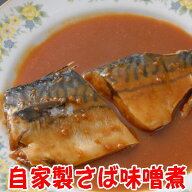 自家製さば味噌煮【ノルウェー産or国産サバ味噌煮】