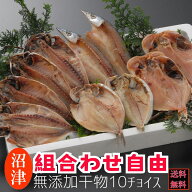 干物 魚セット 魚 干物セット(ひもの詰め合せ)地引網セット（約20種類の干物からお好み10個チョイス）無…