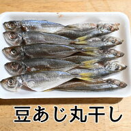 【送料無料】豆あじ丸干し100本沼津無添加ひもの（あじ塩味干物産地直送）焼いても揚げても