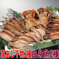 干物セット(天日干しひもの詰め合わせ)アジと白身魚セット 金目鯛編 無添加 送料無料 静岡 沼津