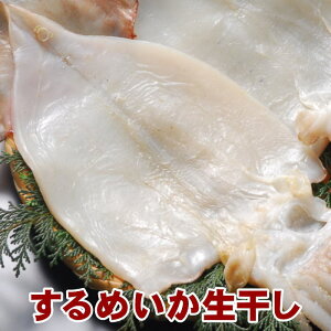 i߂JjAÖYXCJЂ́iY^Ynj