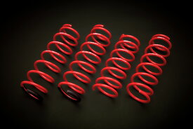 DAMSELストリートコイル　JB64ノーマル車高用【スズキ ジムニー JB64 Eibach アイバッハ 津田レーシング】