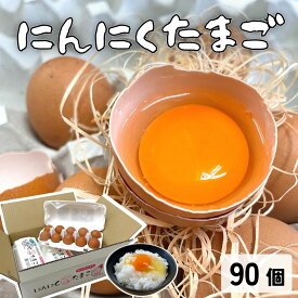 にんにくたまご 90個入 卵 10個入り×9パック つづき養鶏場 生卵 熊本県 国産 生食用 贈答用
