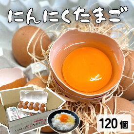 にんにくたまご 120個入 卵 10個入り×12パック つづき養鶏場 生卵 熊本県 国産 生食用 贈答用