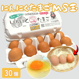 にんにくたまごMS玉 30個入 卵 10個入り×3パック MSサイズ こぶり つづき養鶏場 生卵 熊本県 国産 生食用 贈答用