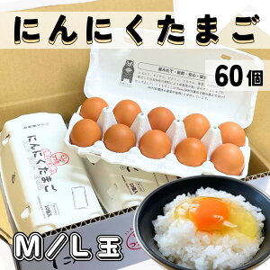 ɂɂ܂ 60  10×6pbN   {   ^}S ʎq 񂹃O uh Mtg  Z ܂͂   H