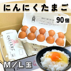 にんにくたまご 90個入 卵 10個入り×9パック つづき養鶏場 卵 タマゴ 玉子 生卵 鶏卵 高級卵 生たまご 美味しい卵 ギフト お取り寄せグルメ ブランド 赤鶏 濃厚たまご 赤玉 卵パック 卵箱売り 卵業務用 家庭 こだわり まとめ買い 九州産 大量 熊本県 国産 生食用 送料無料