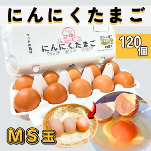ɂɂ܂MS 120  10×12pbN MSTCY Ԃ Zbg  { ^}S ʎq  Mtg   uh ѐp܂ HރZbg 蕨 