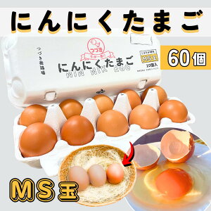 ɂɂ܂ MS 60  10×6pbN MSTCY Ԃ ʎq  {   uh Z ܂͂  Ԍ{ ^}S ̂ 
