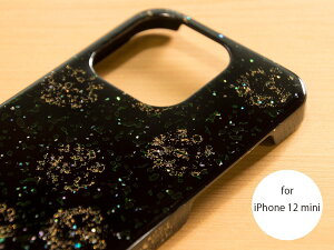 yiPhoneP[Xzh L  [for iPhone12mini]