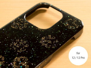 yiPhoneP[Xzh L  [for iPhone 12E12Pro]