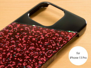 yiPhoneP[Xz C  [for iPhone13Pro]