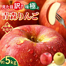 【 大好評出荷中 】青森県産 りんご 訳あり 5kg 生食用 品種おまかせ 送料無料 青森 リンゴ 訳アリ わけあり 林檎 産地 直送 5キロ 一箱 産直 おいしい 家庭用 完熟 甘い お取寄せ 長持ち 生食 生食可 美味しい ふじ 秋映 トキ ぐんま名月 品種色々 小玉 大玉 サイズ色々