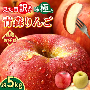 y D]oג zXY  󂠂 5kg Hp i킨܂  X S A 킯 ь Yn  5L ꔠ Y  ƒp n Â   H 