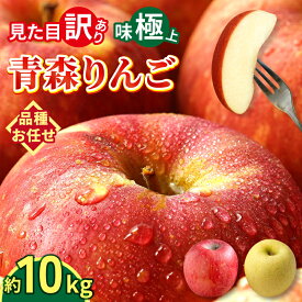 【 大好評出荷中 】青森県産 りんご 訳あり 10kg 生食用 品種おまかせ 送料無料 青森 リンゴ 訳アリ わけあり 林檎 産地 直送 10キロ 一箱 産直 おいしい 家庭用 完熟 甘い お取寄せ 長持ち 生食 生食可 美味しい ふじ 秋映 トキ ぐんま名月 品種色々 小玉 大玉 サイズ色々