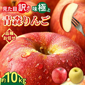 【 本当に赤字価格 オープン記念 】りんご 訳あり 10kg 送料無料 青森 リンゴ 訳アリ わけあり 品種おまかせ 林檎 箱 産地 直送 10キロ 一箱 産直 おいしい 家庭用 完熟 甘い お取寄せ 長持ち 生