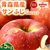 早割実施中【 順次 出荷中 ！ 】青森県産 りんご 訳あり 5kg サンふじ つがる 早生ふじ 品種おまかせ 生…