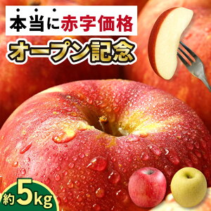 【 大好評出荷中 】青森県産 りんご 訳あり 5kg 生食用 品種おまかせ 送料無料 青森 リンゴ 訳アリ わけあり 林檎 産地 直送 5キロ 一箱 産直 おいしい 家庭用 完熟 甘い お取寄せ 長持ち 生食
