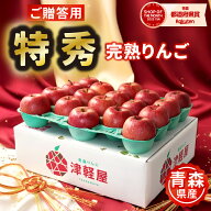 早割実施中【 11月上旬から順次出荷予定 】青森県産 サンふじ 特秀品 3kg 5kg 10kg 送料無料 青森 りんご…