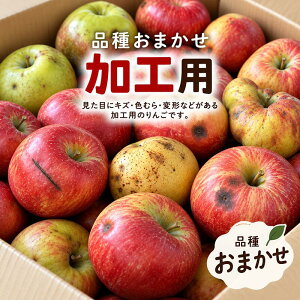 �������{���y ���� �o�ג� �I �z�X���Y ��� ���H�p 10kg / 5kg �i�킨�܂��� �������� �X �����S ��A�� �킯���� �ь� �Y�n ���� 10�L�� �ꔠ �Y�� �������� �ƒ�p ���n �Â� ����� ��