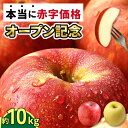 【 大好評出荷中 】青森県産 りんご 訳あり 10kg 生食用 品種おまかせ 送料無料 青森 リンゴ 訳アリ わけあり 林檎 産地 直送 10キロ 一箱 産直 おいしい 家庭用 完熟 甘い お取寄せ 長持ち 生食 生食可 美味しい ふじ 秋映 トキ ぐんま名月 品種色々 小玉 大玉 サイズ色々