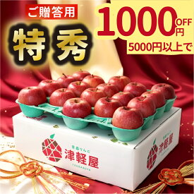 【 1,000円OFFクーポンで特秀品5kgが4,000円⁉ 】青森県産 サンふじ 特秀品 3kg 5kg 10kg 送料無料 青森 りんご リンゴ 林檎 産地 直送 産直 おいしい 完熟 ふじ 人気 売れ筋 果物 フルーツ 青森県 産地直送 蜜入り 贈答用 お歳暮 御年賀 贈り物 お祝 お礼