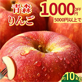 【 1,000円OFFクーポンでサンふじ10kgが4,000円⁉ 】青森県産 りんご 訳あり 10kg / 2.5kg 生食用 サンふじ or 品種おまかせ 送料無料 青森 リンゴ 訳アリ わけあり 林檎 産地 直送 10キロ 一箱 産直 おいしい 家庭用 完熟 甘い お取寄せ 長持ち 生食 生食可 美味しい ふじ