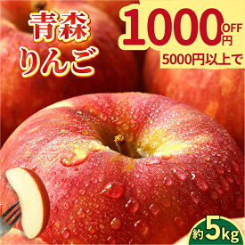 【 5,000円以上で1,000円OFFクーポン 】青森県産 りんご 訳あり 5kg 生食用 サンふじ or 品種おまかせ 送料無料 青森 リンゴ 訳アリ わけあり 林檎 産地 直送 5キロ 一箱 産直 おいしい 家庭用 完熟 甘い お取寄せ 長持ち 生食 生食可 美味しい ふじ