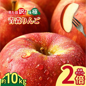 y D]oג zXY  󂠂 10kg / 2.5kg Hp Tӂ or i킨܂  X S A 킯 ь Yn  10L ꔠ Y  ƒp n Â 