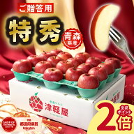 【 オープン記念価格 】青森県産 サンふじ 特秀品 3kg 5kg 10kg 送料無料 青森 りんご リンゴ 林檎 産地 …