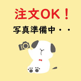 10個セット NCH20J×20A 銅管変換継手 ブリヂストン プッシュマスター